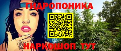 PSILOCYBIN Краснодар