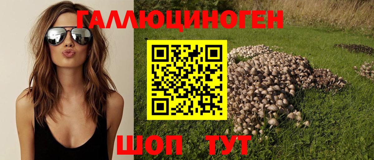 Галлюциногенные грибы MAGIC MUSHROOMS Жуковский
