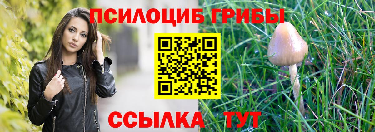 Жуковский  Псилоцибиновые грибы ЛСД  Вход с VPN  Псилоцибиновые грибы Cubensis 